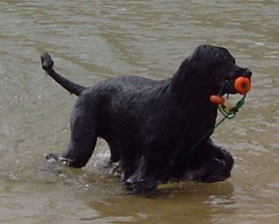 Entrega do objecto submerso